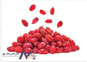 Treatment-of-gallstones-in-traditional-medicine درمان سنگ کیسه صفرا در طب سنتی